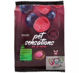 Bolinha Petitos Pet Sensations para Cães Sabor Mix de Berries
