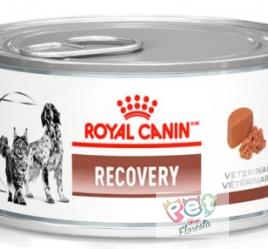 PATE RECOVERY CÃES E GATOS ROYAL CANIN 195 G