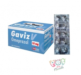 GAVIZ  V10  - 10 COMPRIMIDOS